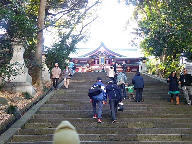 Brompton in Palace No18