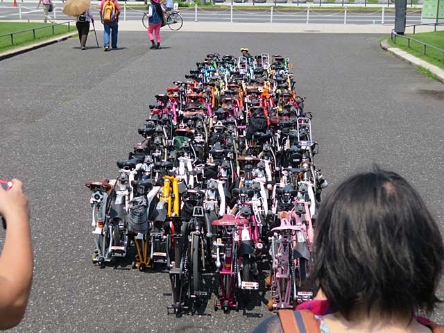 Brompton in Palace No21