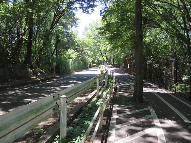 多摩湖サイクリングロード